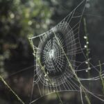 15日大乐透开奖结果揭晓:幸运号码震撼出炉 7wmz2