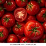 16085期足彩开奖结果揭晓,大奖花落谁家? d54bgk7vi