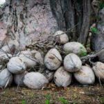 360在线直播间:全方位互动娱乐新体验 f5x5t08l