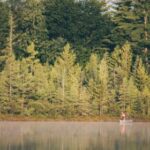 16013期开奖结果公布,幸运号码震撼揭晓 n2ydosnt5