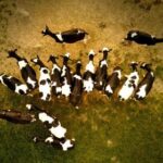 360度全景沉浸式体验NBA高清直播赛事 nwj1t7yvz