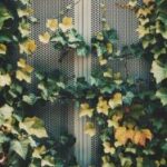 16107期七星彩开奖结果揭晓,幸运号码震撼出炉 ojshsgsq0