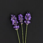 160期开奖结果正式公布最新中奖号码揭晓 s8vsbov