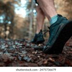 15选3开奖结果揭晓,幸运号码震撼出炉 tty5j5