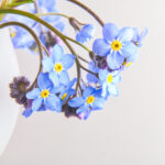 16090期彩票开奖结果查询与最新号码公布 u0vxs9yc85