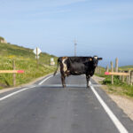 16032期足彩开奖结果揭晓,奖金分配详情公布 u5q04999